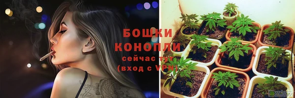 гашик Каменка