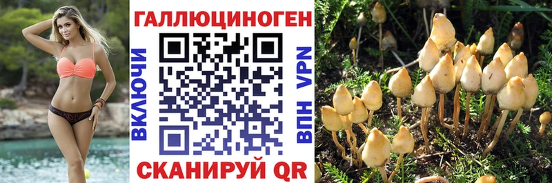 что такое наркотик  Ветлуга  Псилоцибиновые грибы Magic Shrooms 